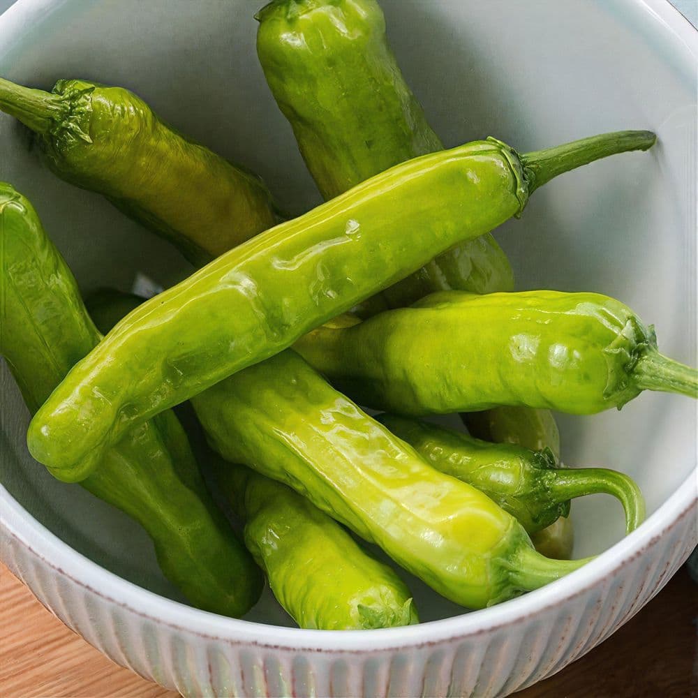 2.5 in. Chile Pepper Plant Collection (4-Pack) - Hercitys