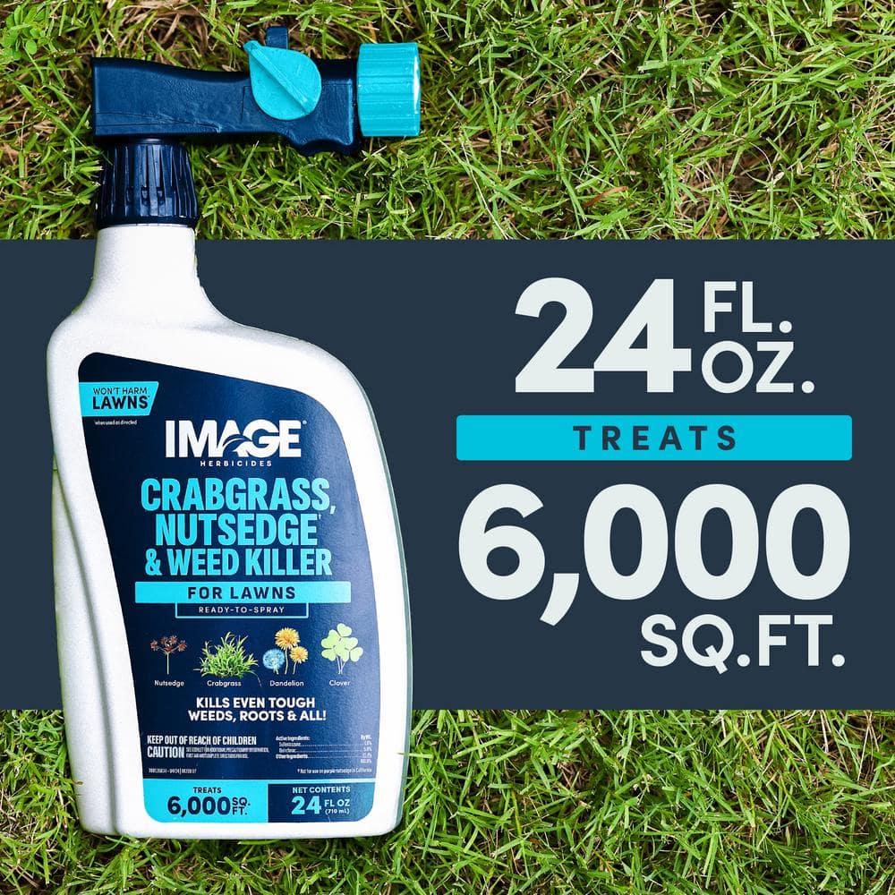 24 oz. 6,000 sq. ft. Crabgrass, Nutsedge and Weed Killer Ready to Spray - Hercitys