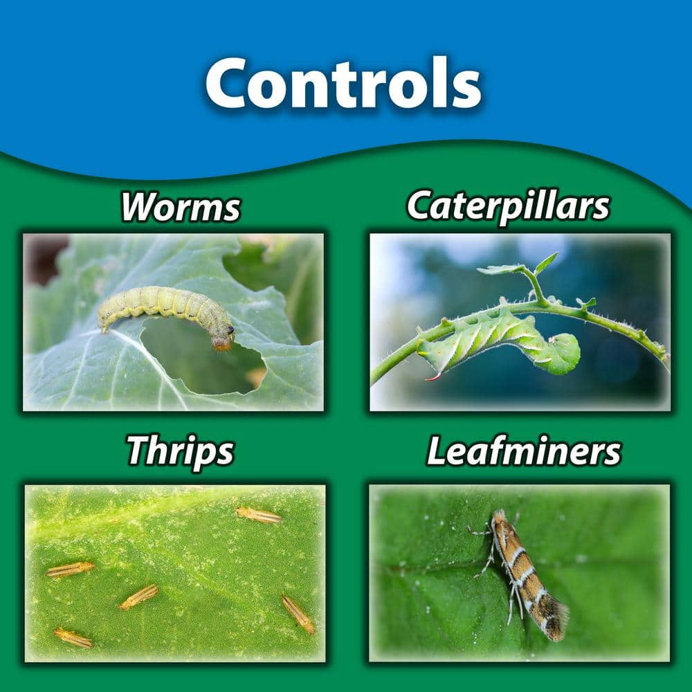 32 oz. Garden Insect Spray RTU - Hercitys