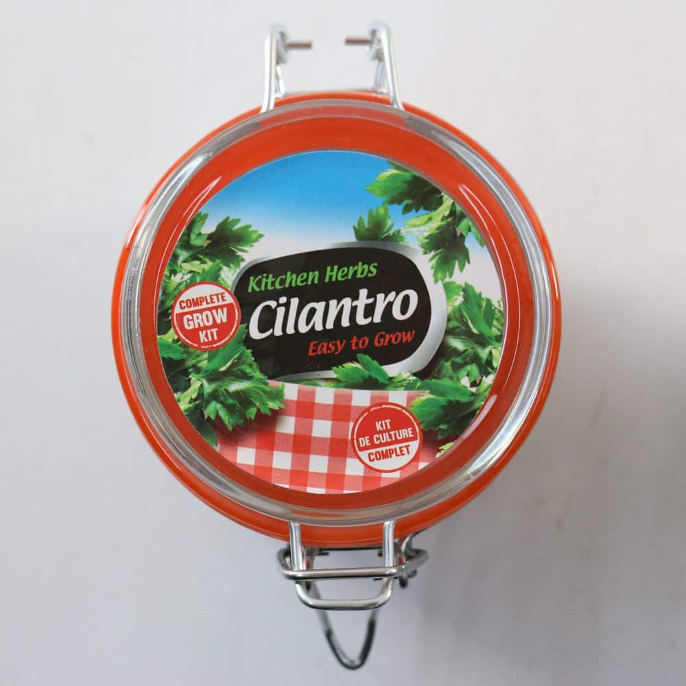 3.3 in. Cilantro Culinary Kitchen Herb Seed Grow Kit - Hercitys