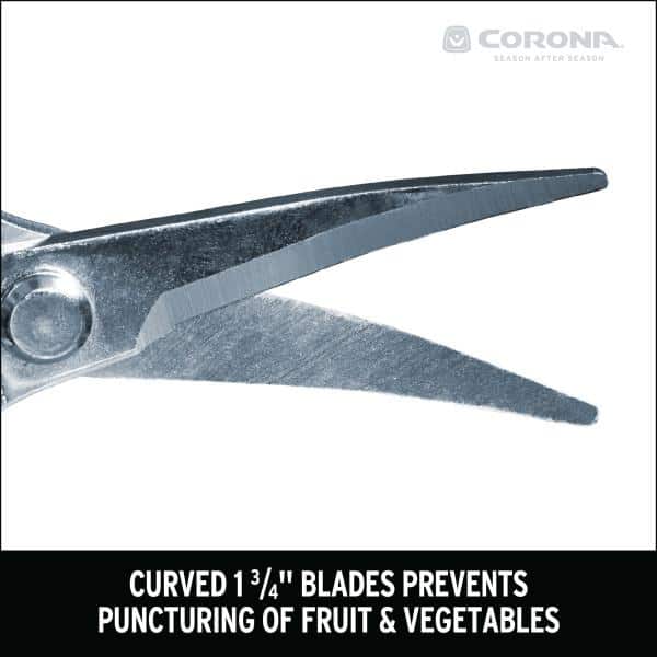 1.75 in. Stainless Steel Long Curved Snips - Hercitys