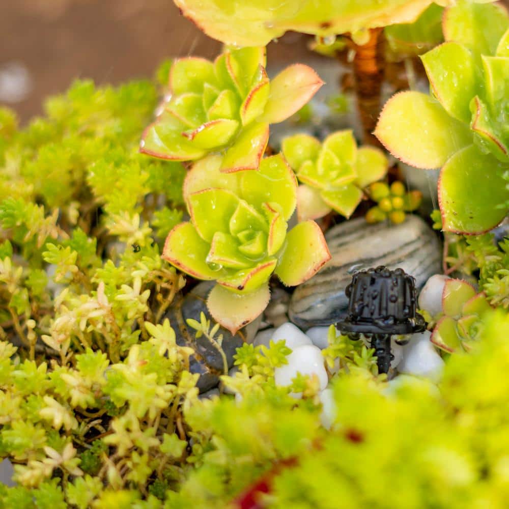 0-14 GPH Adjustable Multi-Stream Emitter Dripper (25-Pack) - Hercitys