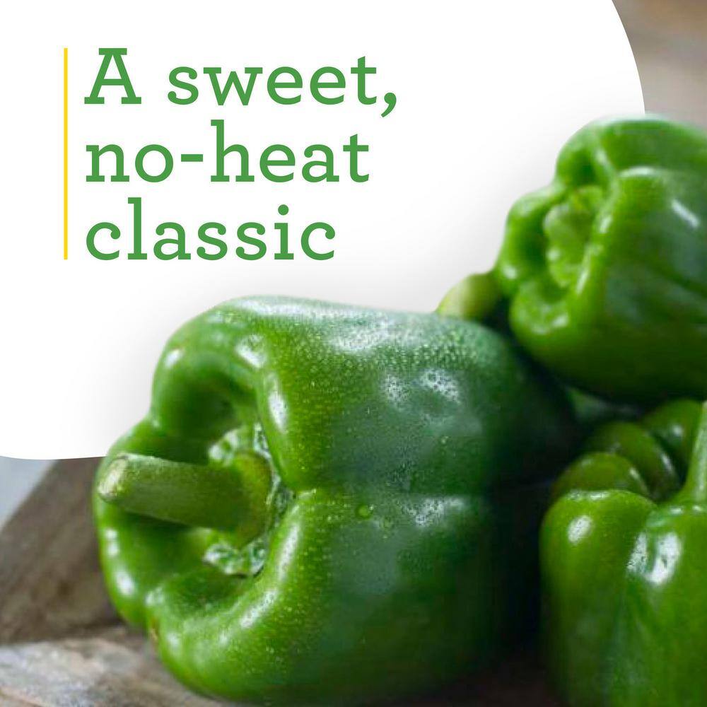 19 oz. Sweet Green Bell Pepper Plant (2-Pack) - Hercitys