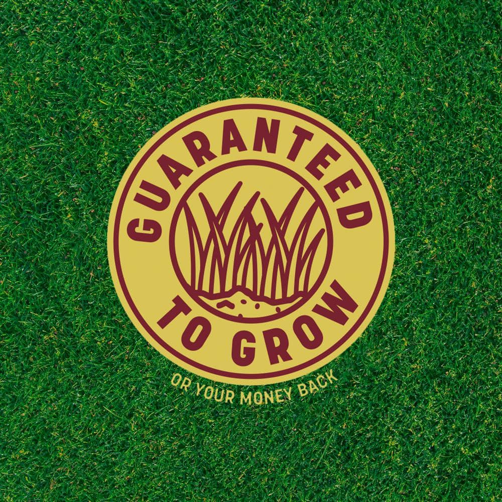 30 lbs. Winter Lawn 3-in-1 Perennial Ryegrass with Mulch and Fertilizer - Hercitys