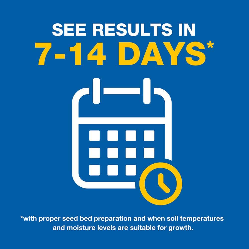 10 lb. Patch and Repair Sun and Shade Grass Seed Mix - Hercitys