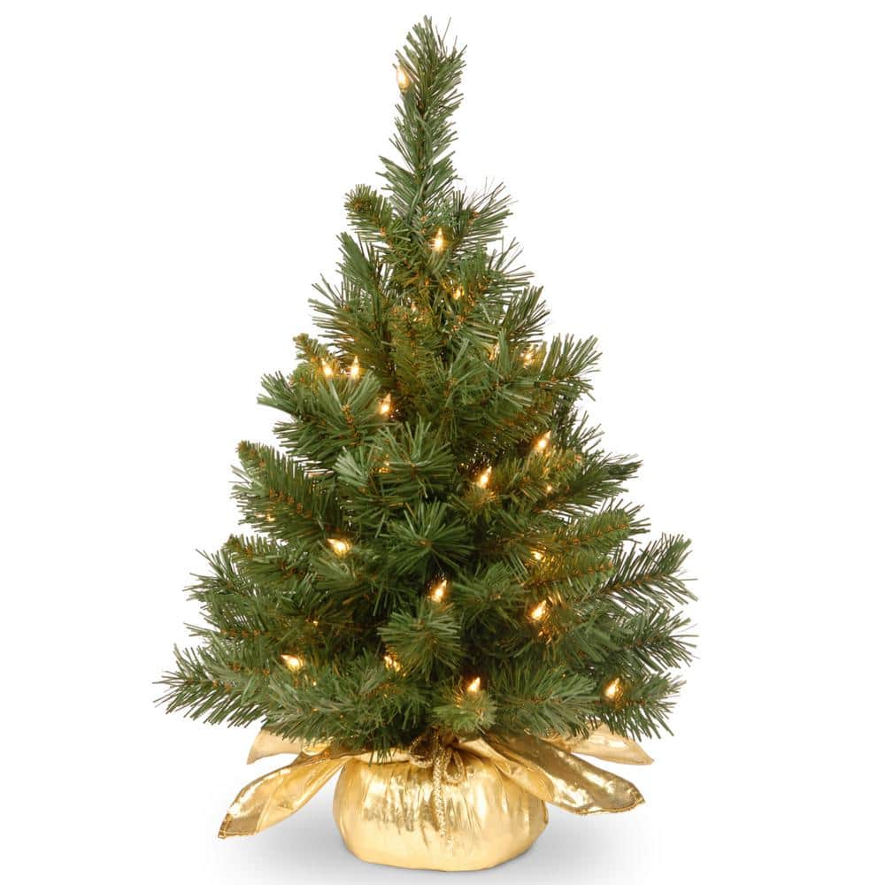 24 in. Majestic Fir Tree with Clear Lights - Hercitys