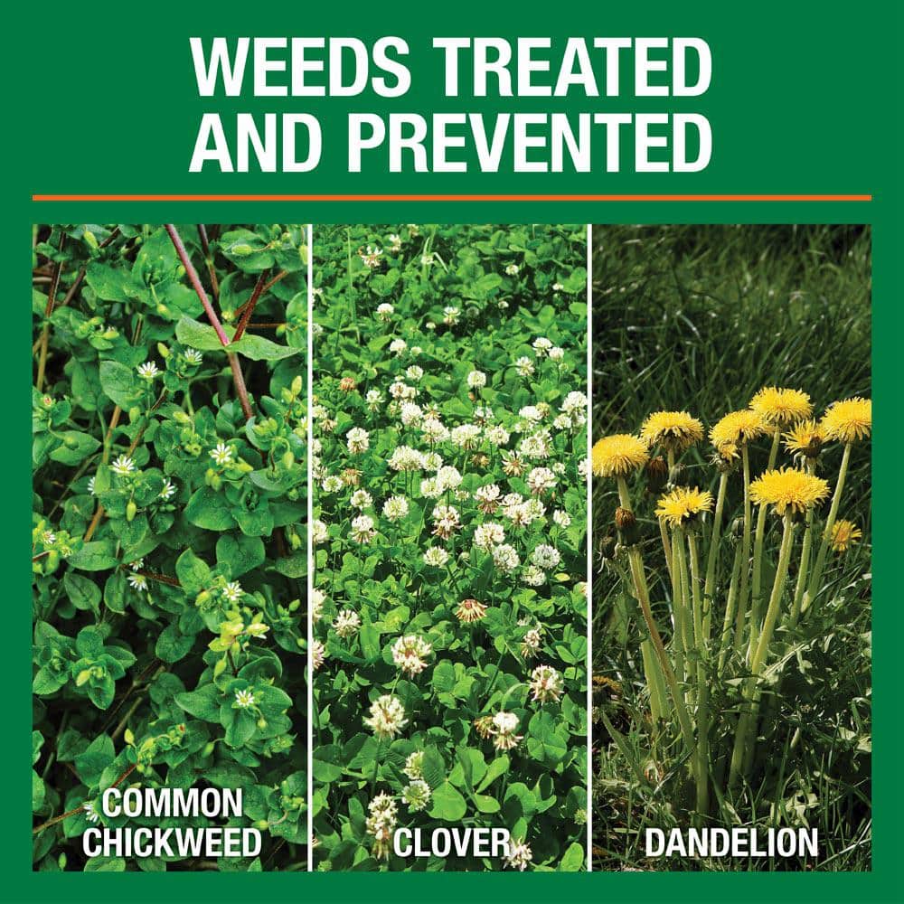 14.6 lbs. 5,000 sq. ft. Weed & Feed Weed Killer Plus Lawn Fertilizer - Hercitys