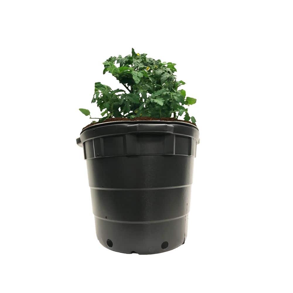 10 Gal. Round Plastic Nursery Pots (20-Pack) - Hercitys