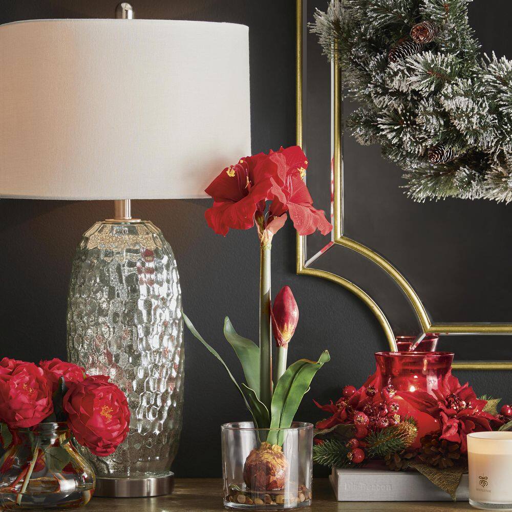 20in. Amaryllis with Vase - Hercitys