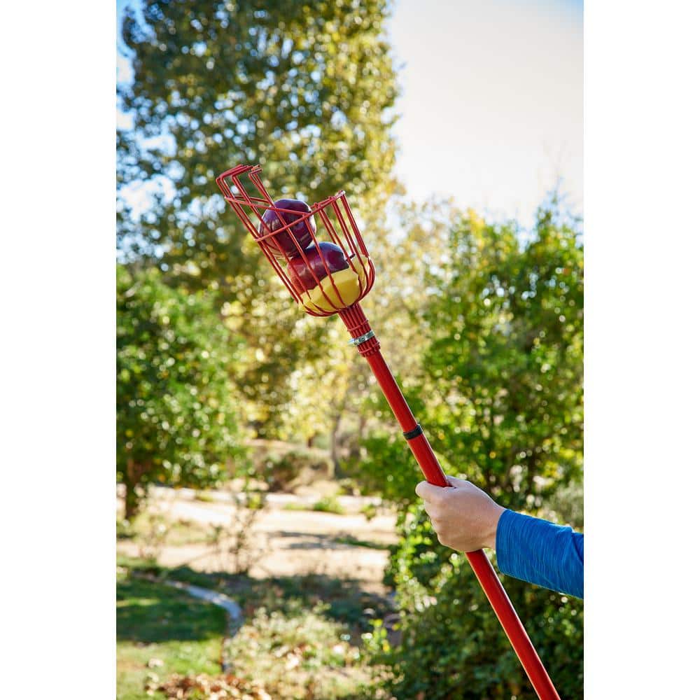 12 ft. L Reach Extendable Aluminum Handle Fruit Picker - Hercitys