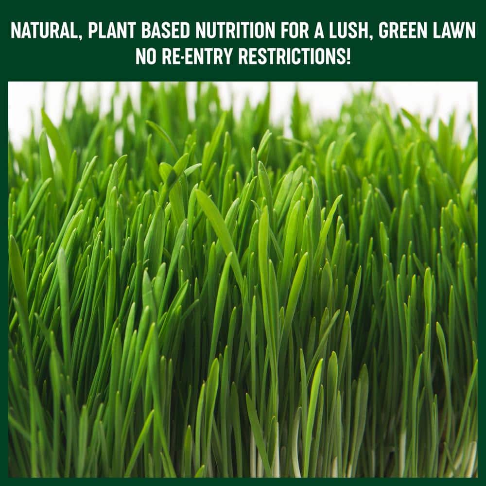 25 lb. Dry Lawn Food Fertilizer - Hercitys