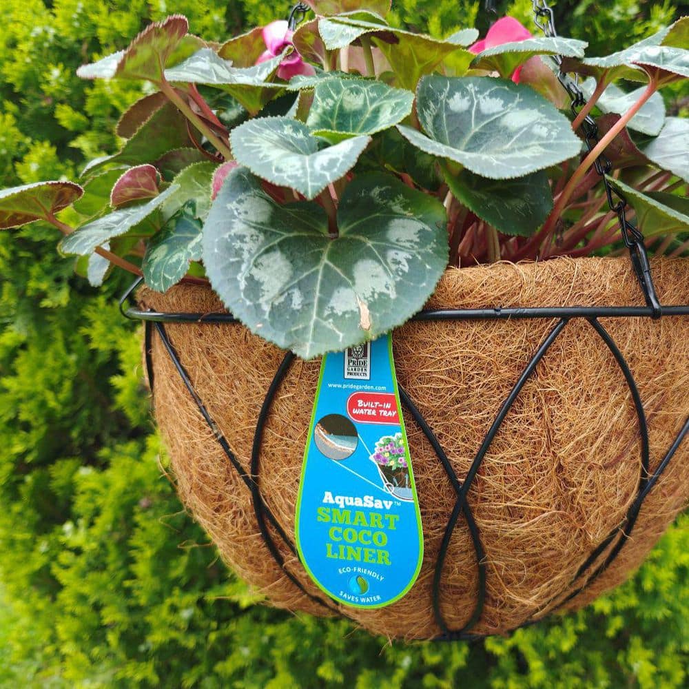 12 in. Steel Devon Hanging Basket with AquaSav Coconut Liner - Hercitys