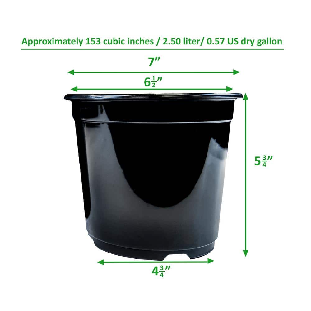 2 Qt. Plastic Nursery Trade Pots with Coconut Coir Growing Media (50-Pack) - Hercitys