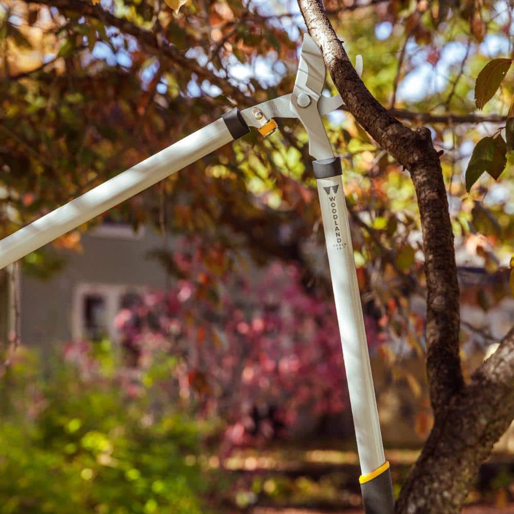 28 in. Regular Duty Lopper - Hercitys