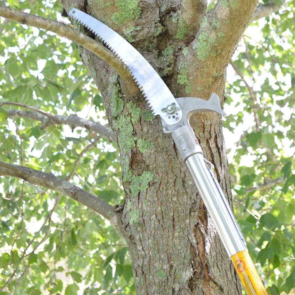 13 in. Barracuda Tri-Cut Replacement Pruning Saw Blade (3-Pack) - Hercitys