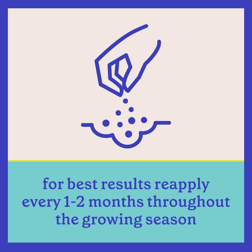 4 lbs. Rejuvenate Evergreen and Azalea Plant Food 4-3-3 - Hercitys