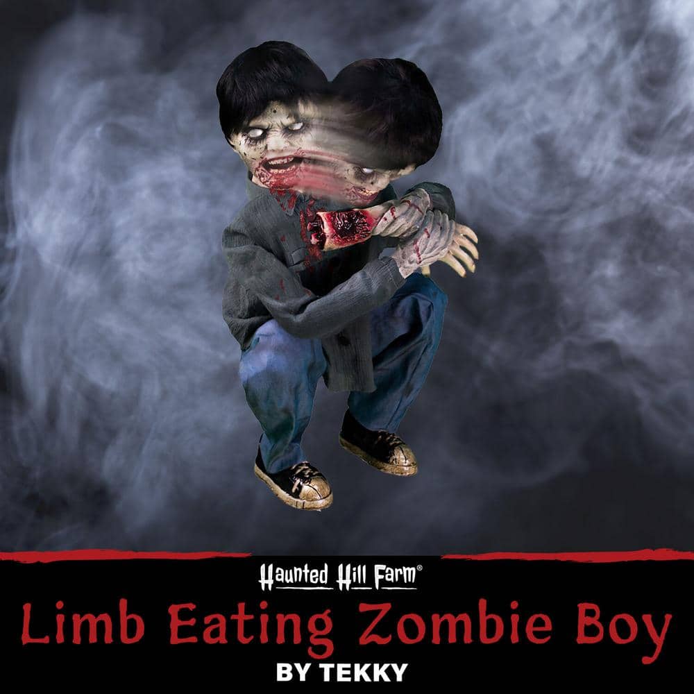 31 in. Limb Eating Zombie Boy by Tekky, Indoor or Covered Outdoor Premium Halloween Animatronic - Hercitys