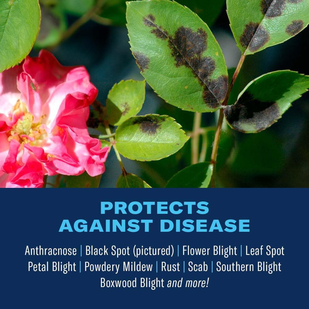32 oz. Disease Control for Roses Flowers and Shrubs - Hercitys
