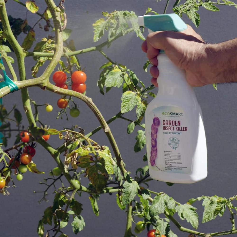 24 oz. Natural Garden Insect Killer with Plant-Based Rosemary Oil and Peppermint Oil, Ready-to-Use Spray Bottle (2-Pack) - Hercitys