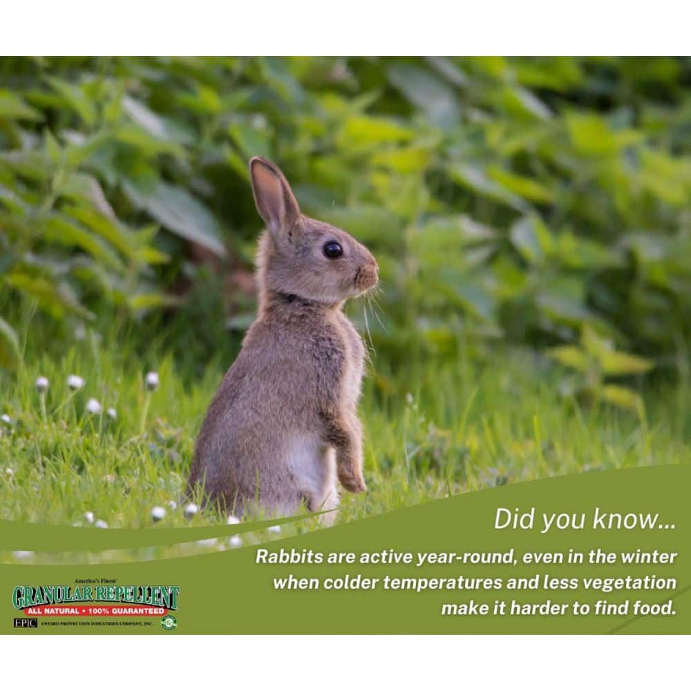 25 lbs. Rabbit Repellent Granular Pail - Hercitys