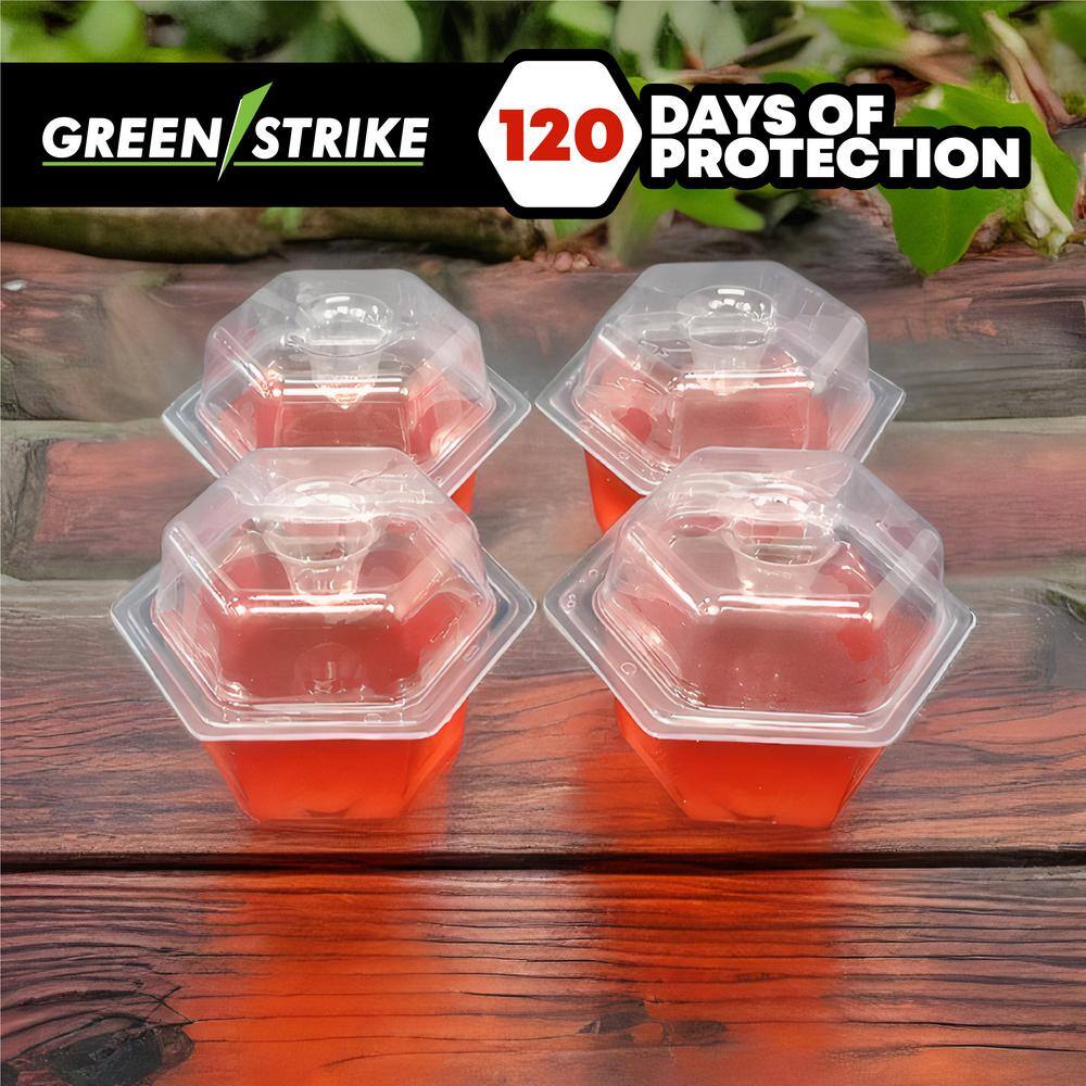 2-Piece Green Strike 60004 Fruit Fly Trap Prefilled Fruit Fly (4-Pack) - Hercitys