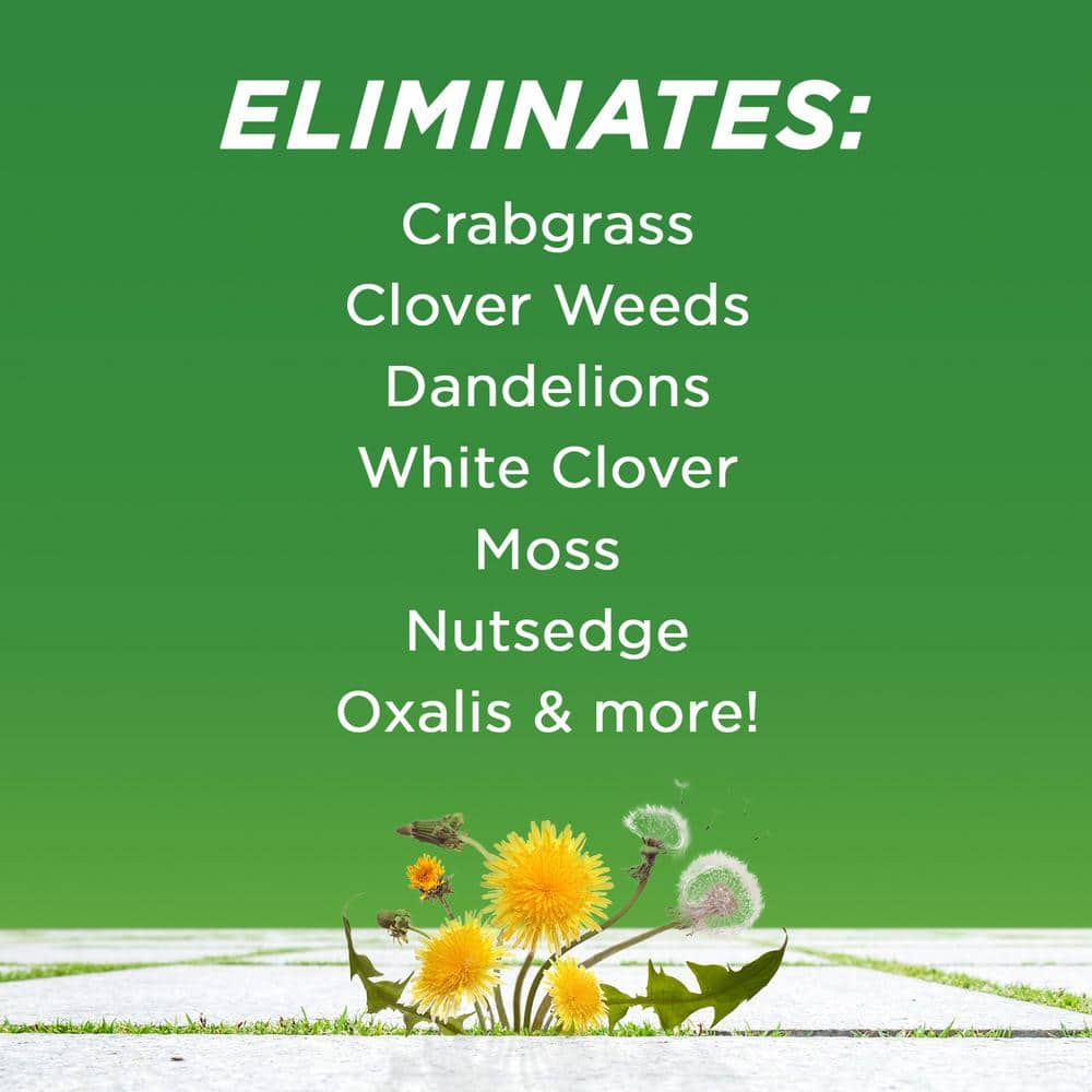 32 fl. oz. 20% Vinegar Weed Killer - Hercitys