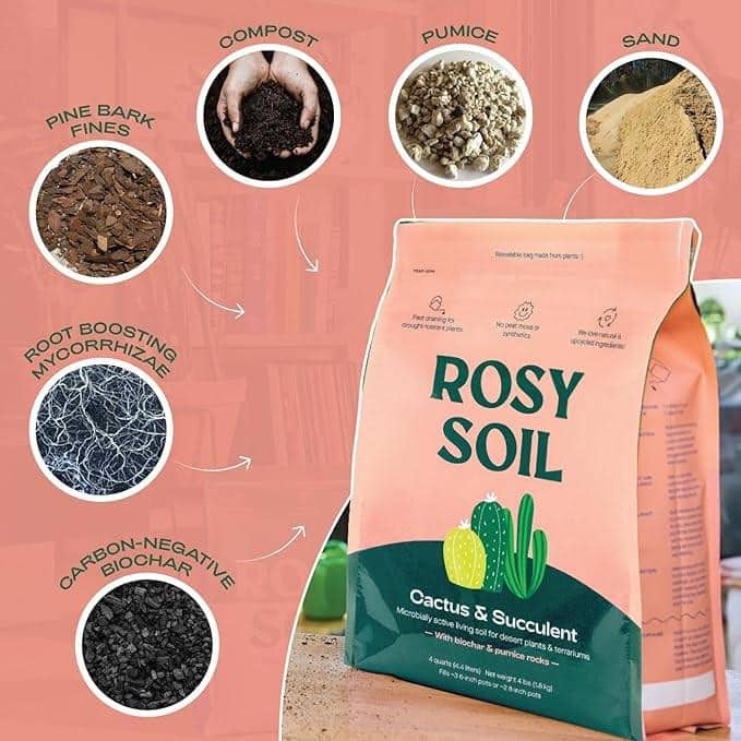 4 qt. Cactus and Succulent Potting Mix: Microbially Active Living Soil for Desert Plants and Terrariums - Hercitys
