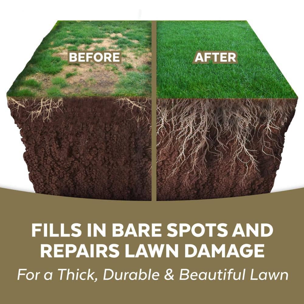 5 lbs. Sun and Shade Repair Mulch, Grass Seed and Fertilizer Combination - Hercitys