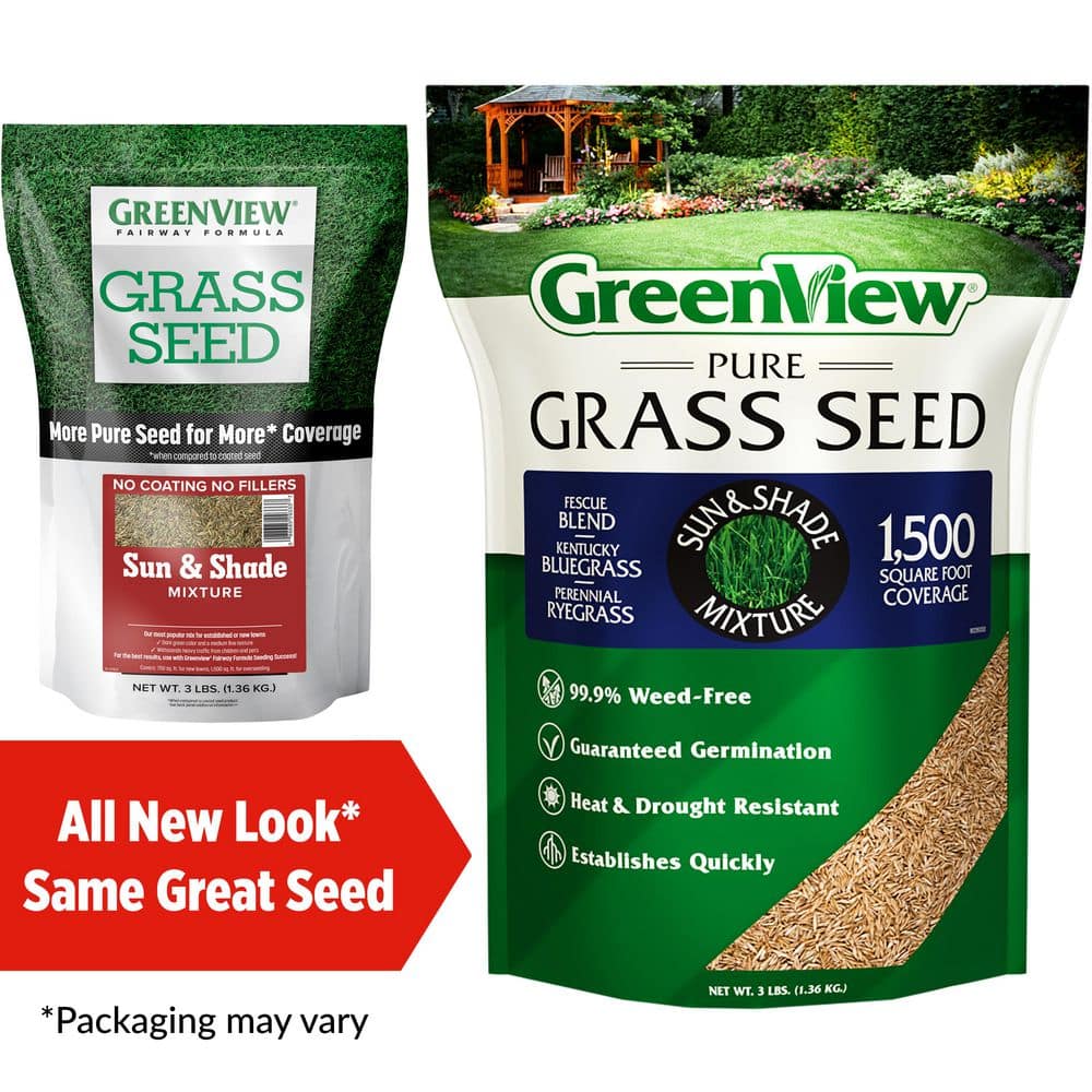 3 lbs. Pure Grass Seed Sun and Shade Mixture – Covers up to 1,500 sq. ft. - Hercitys