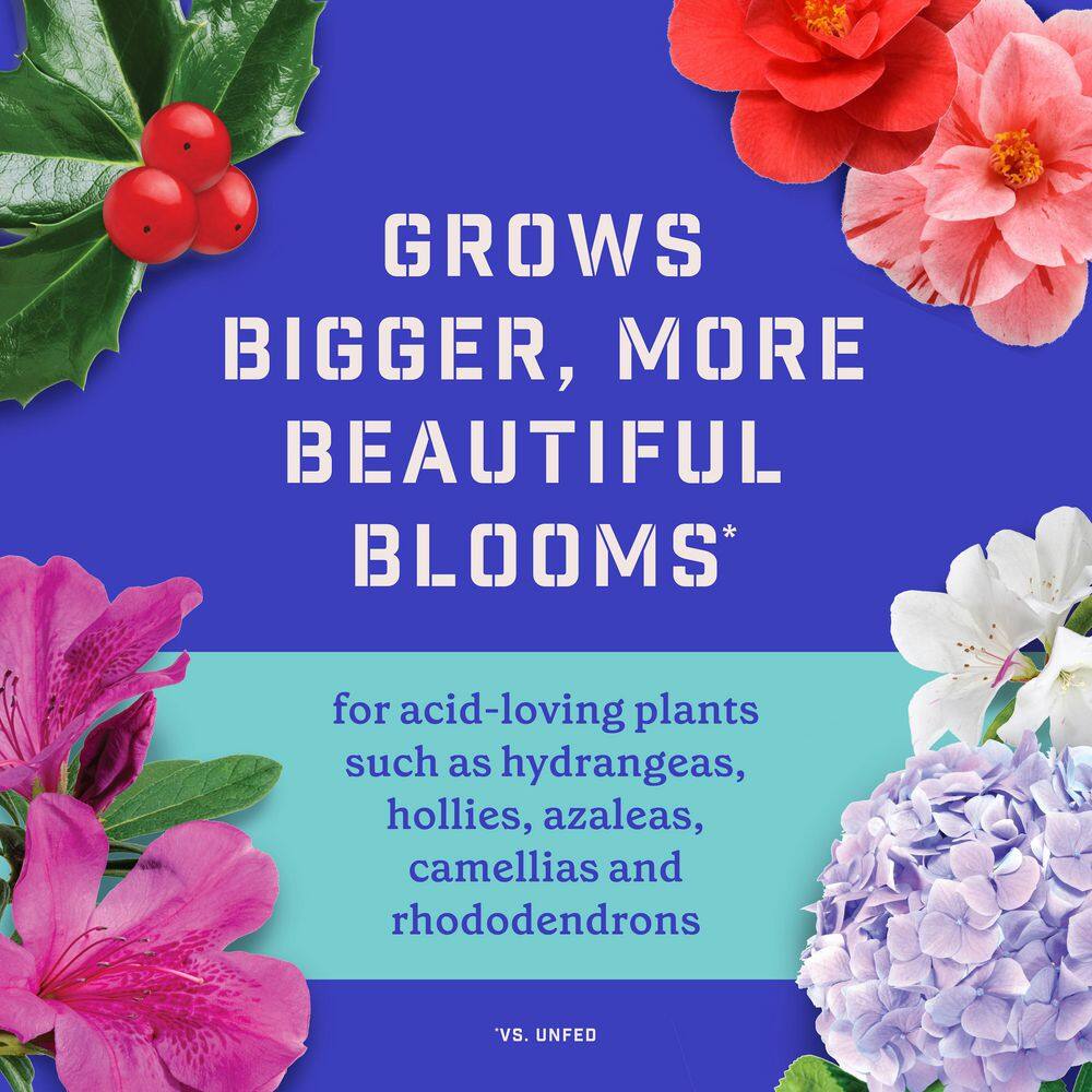 4 lbs. Rejuvenate Evergreen and Azalea Plant Food 4-3-3 - Hercitys