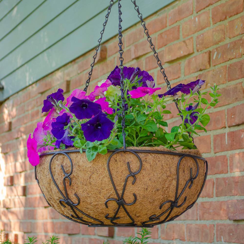 14 in. Painted Steel Filigree Hanging Basket with Coco Liner - Hercitys
