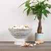 35 fl. oz. 9.75 in. White Mango Wood Serving Bowls (Set of 1) - Hercitys