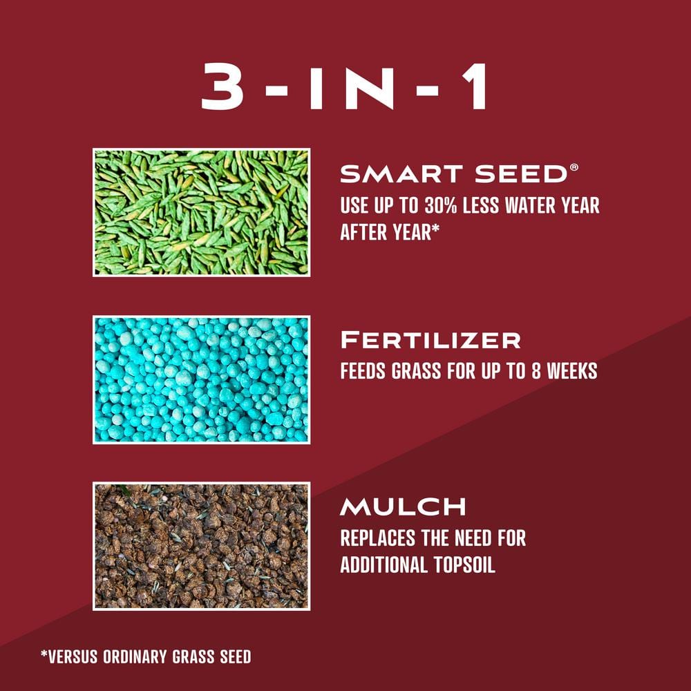 30 lbs. Winter Lawn 3-in-1 Perennial Ryegrass with Mulch and Fertilizer - Hercitys