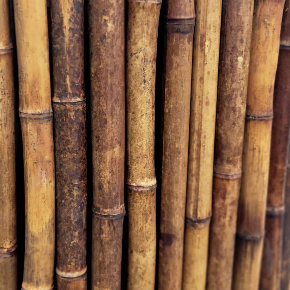 4 ft. H x 8 ft. W Caramel Brown Bamboo Fencing Garden Fence Panel - Hercitys