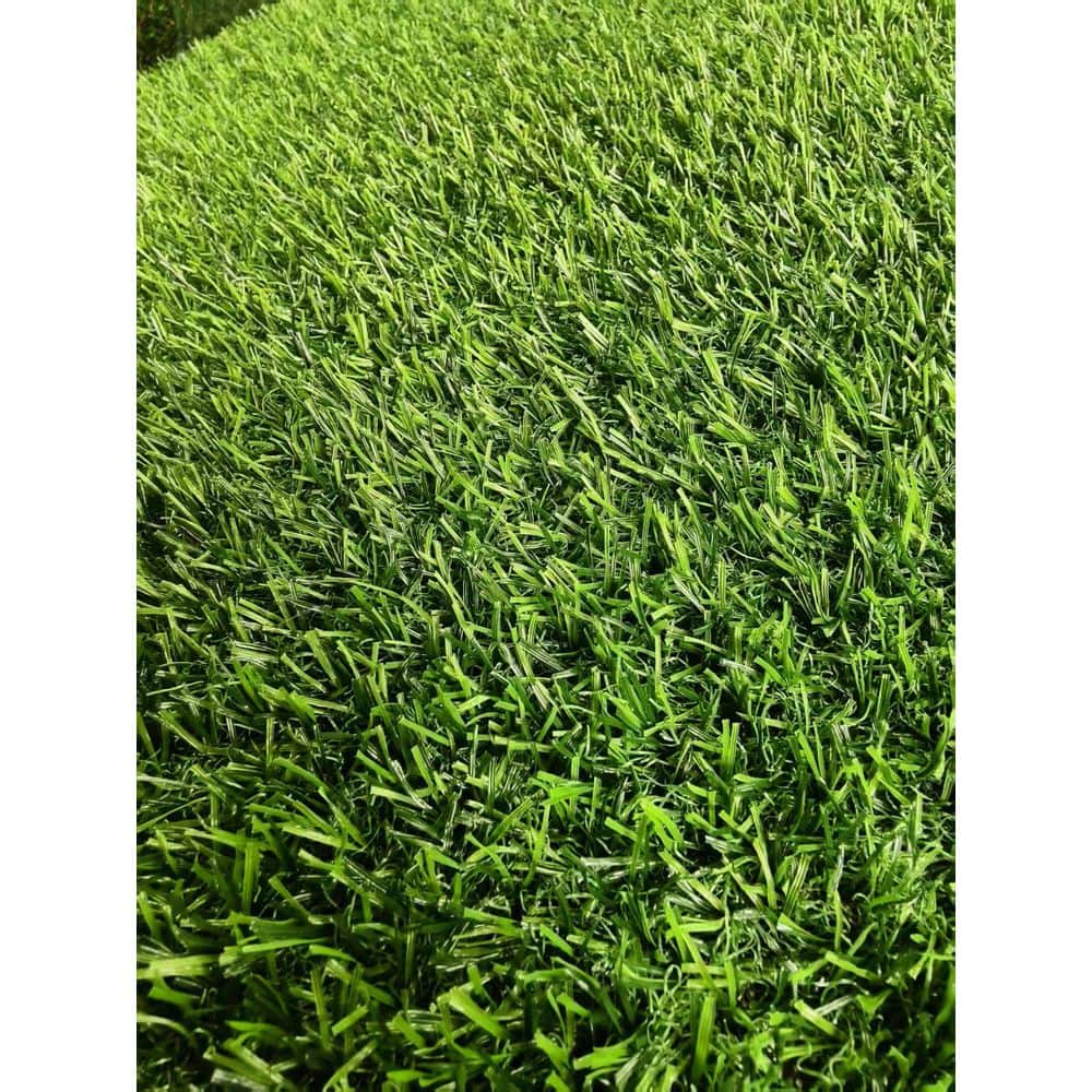 5 ft. x 10 ft. Plastic Garden Fence Turf Mat Thick Fake Faux Grass with Rubber Backing and Drainage Holes in Green - Hercitys