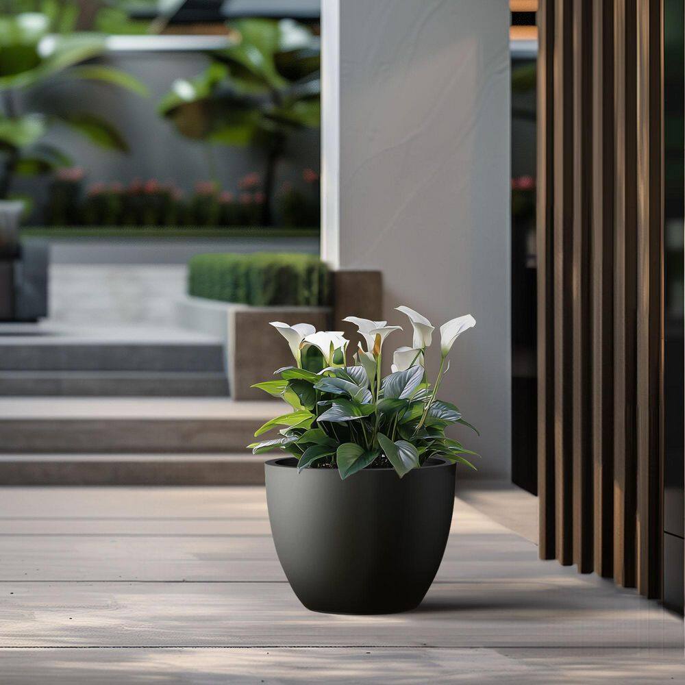 17.5 in. Large Charcoal Black Concrete Round Planter / Pot with Drainage Holes - Hercitys