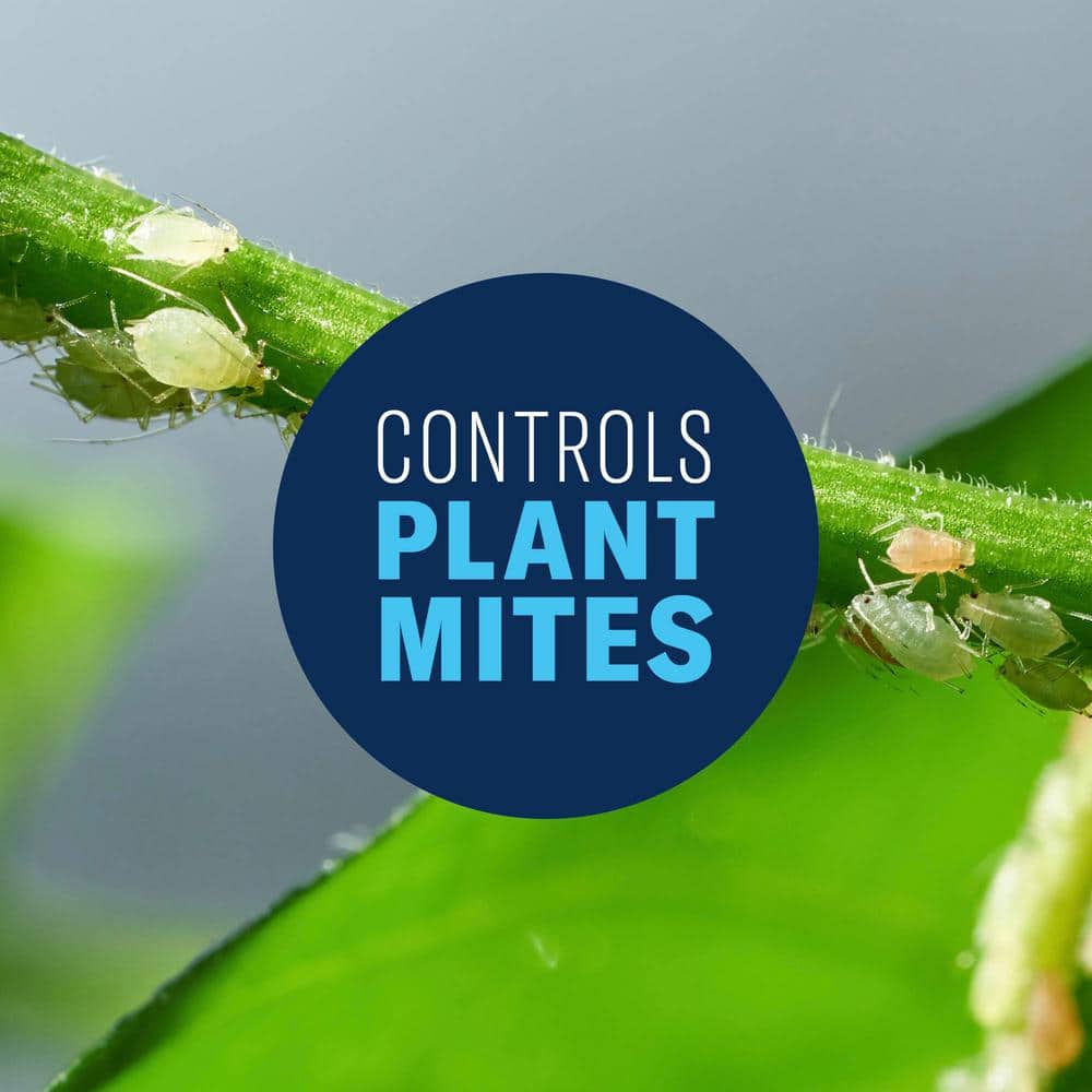 32 oz. Concentrate All-in-One Rose and Flower Insect Killer - Hercitys