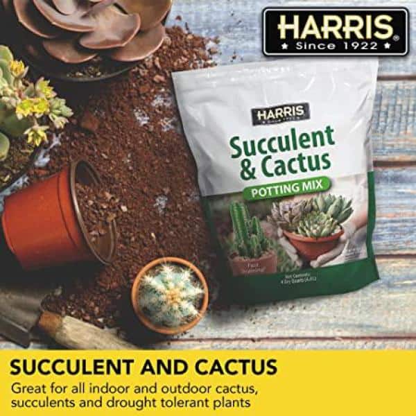 4qt. Succulent and Cactus Potting Soil Mix (2-Pack) - Hercitys