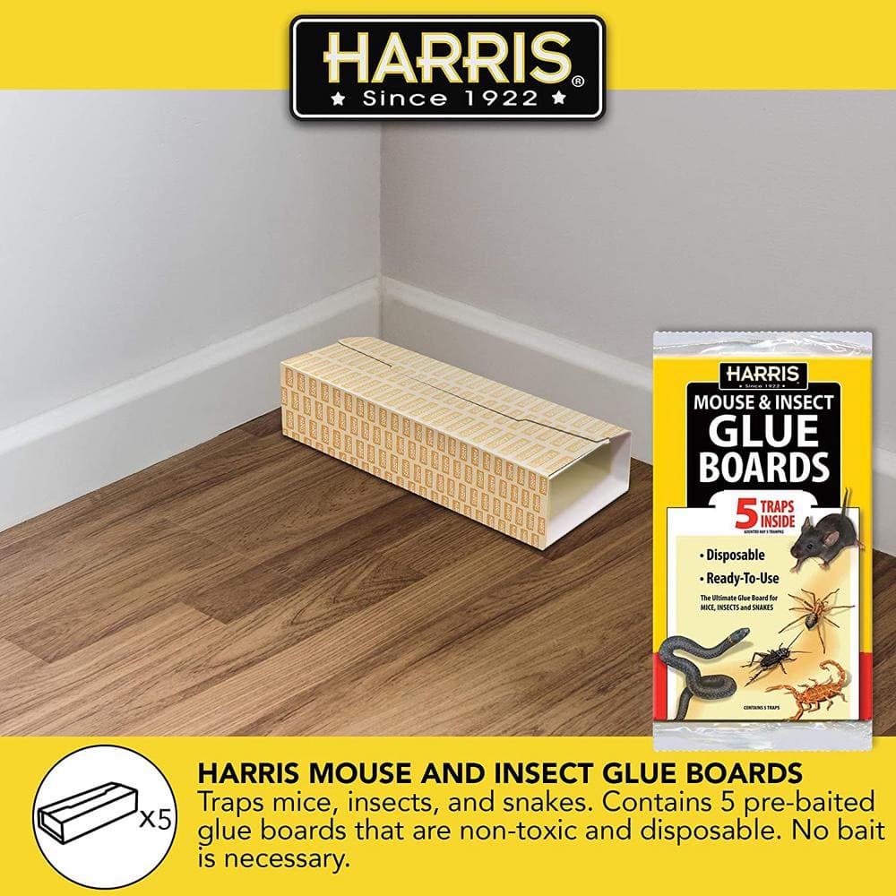 1 Gal. Home Pest Spray and Pest Glue Board (5-Pack) - Hercitys