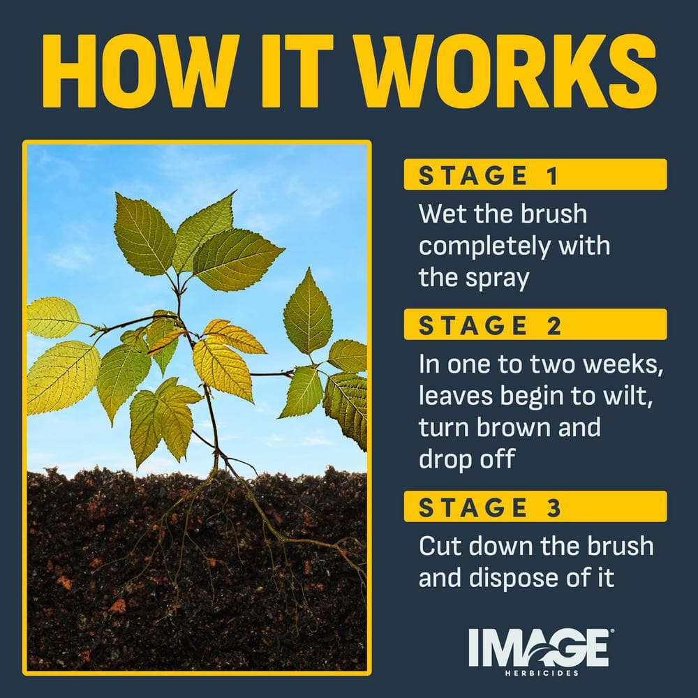 32 oz. Brush and Vine Killer Concentrate - Hercitys