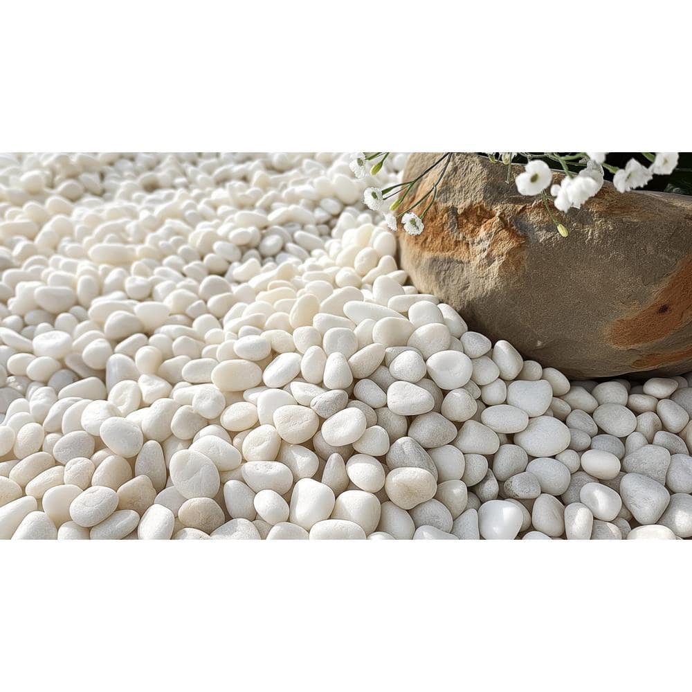 0.40 cu. ft. 0.25 in. to 0.75 in. 30 lbs. Grade A White Polished River Pebbles - Hercitys