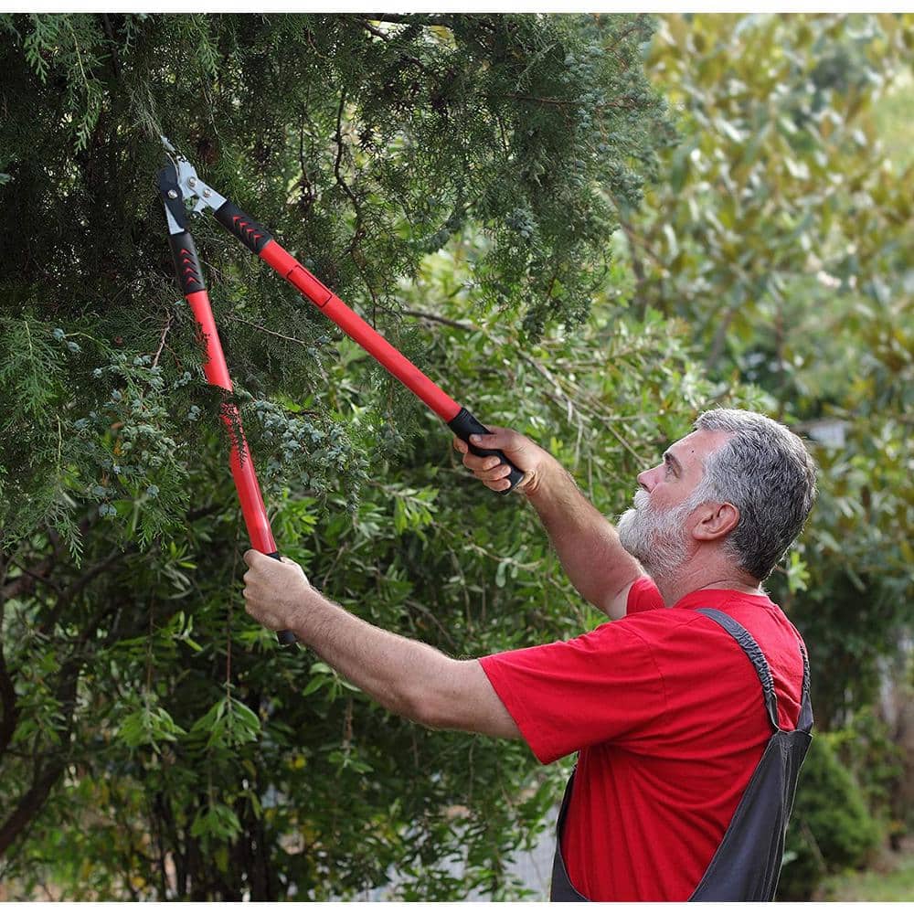 30 in. Tree Trimmer, Branch Cutter with 2 in. Cutting Capacity, Lopper - Hercitys