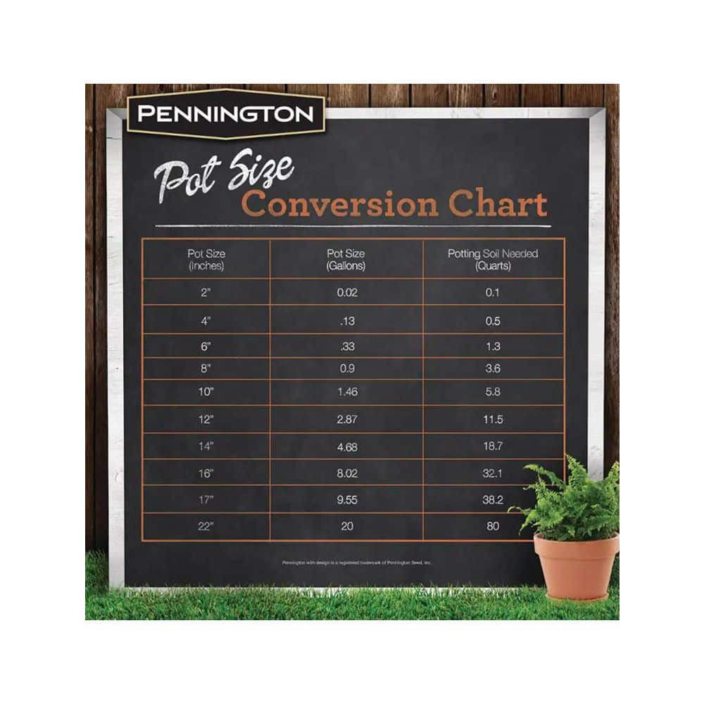 3 in. x 2 in. Small Terra Cotta Clay Cylinder Pot (32-Pack) - Hercitys