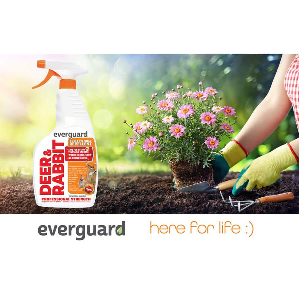 32oz. Everguard Deer and Rabbit Ready to Use Liquid Repellent - Hercitys