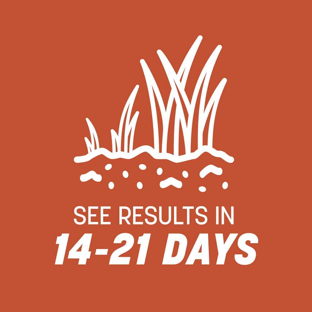 15 lbs. Bermudagrass Grass Seed - Hercitys