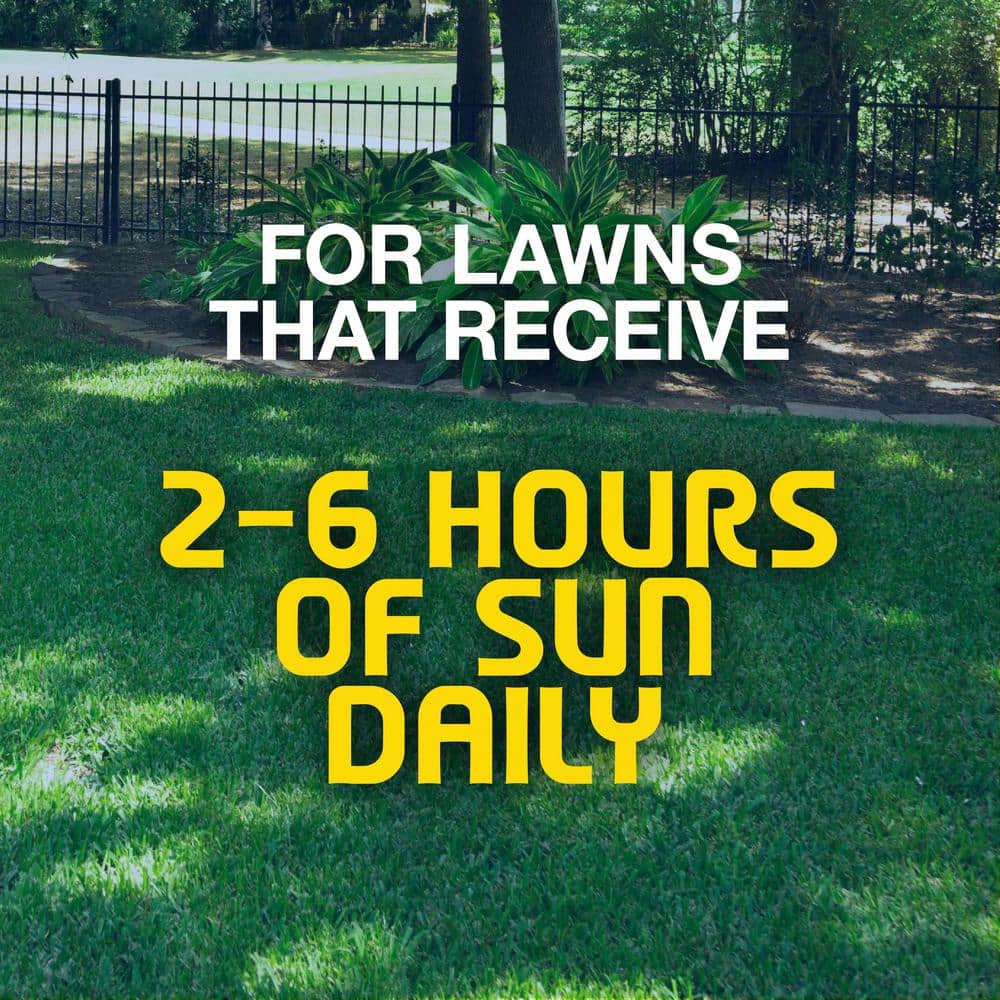 3 lbs. Shady Lawn Grass Seed Mix - Hercitys