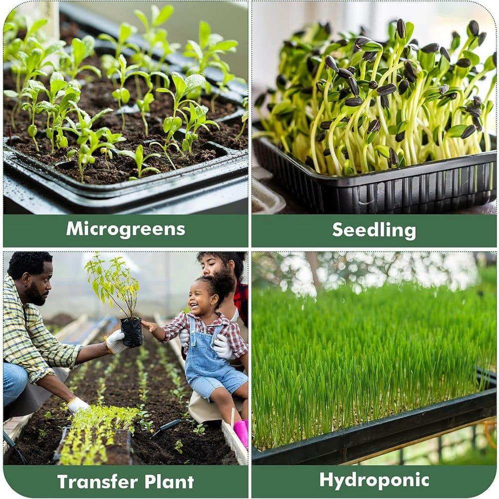 10-Pack Plant Growing Trays Reusable Durable Plastic No Holes Microgreens Seed Starter Transplant Flats - Hercitys