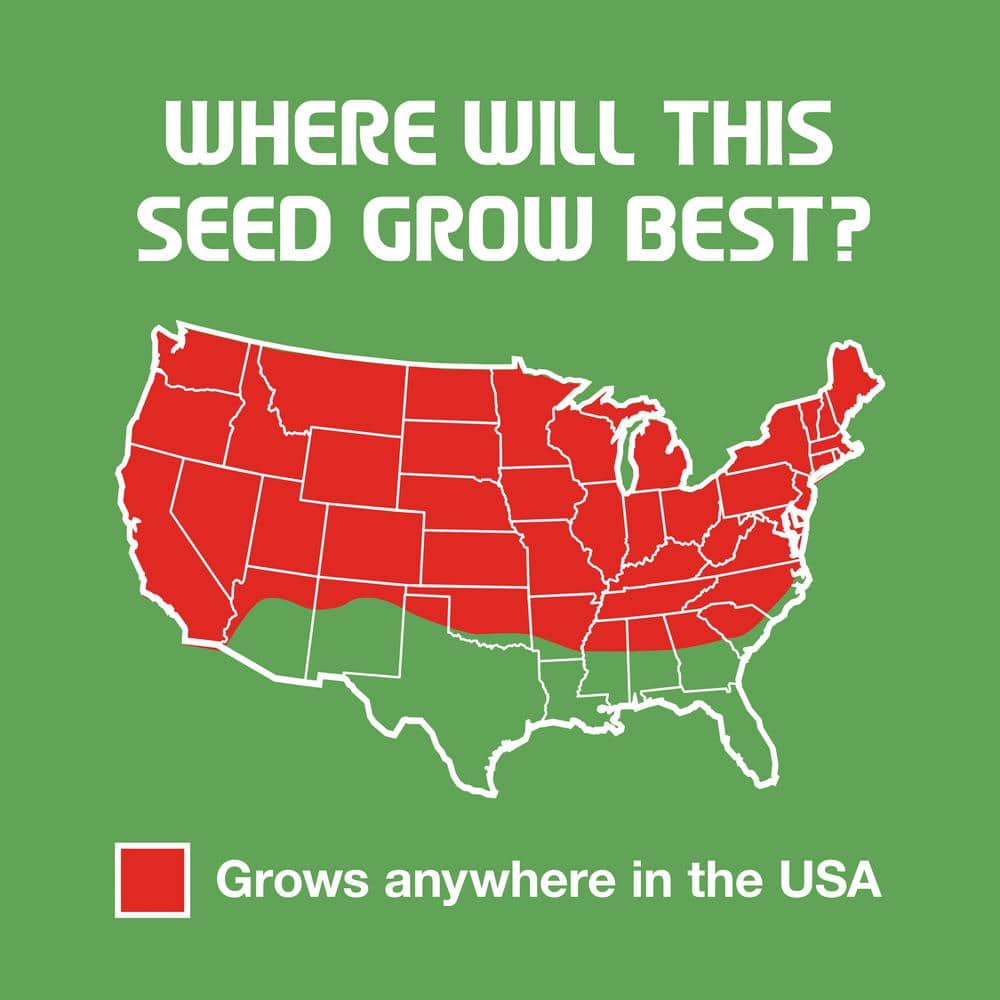 3 lbs. Tall Fescue Grass Seed Blend - Hercitys