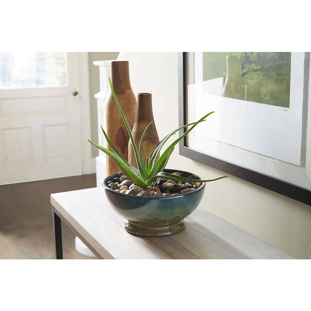 12 in. Dia Caspian Multi-Color Ceramic Bowl Planter - Hercitys