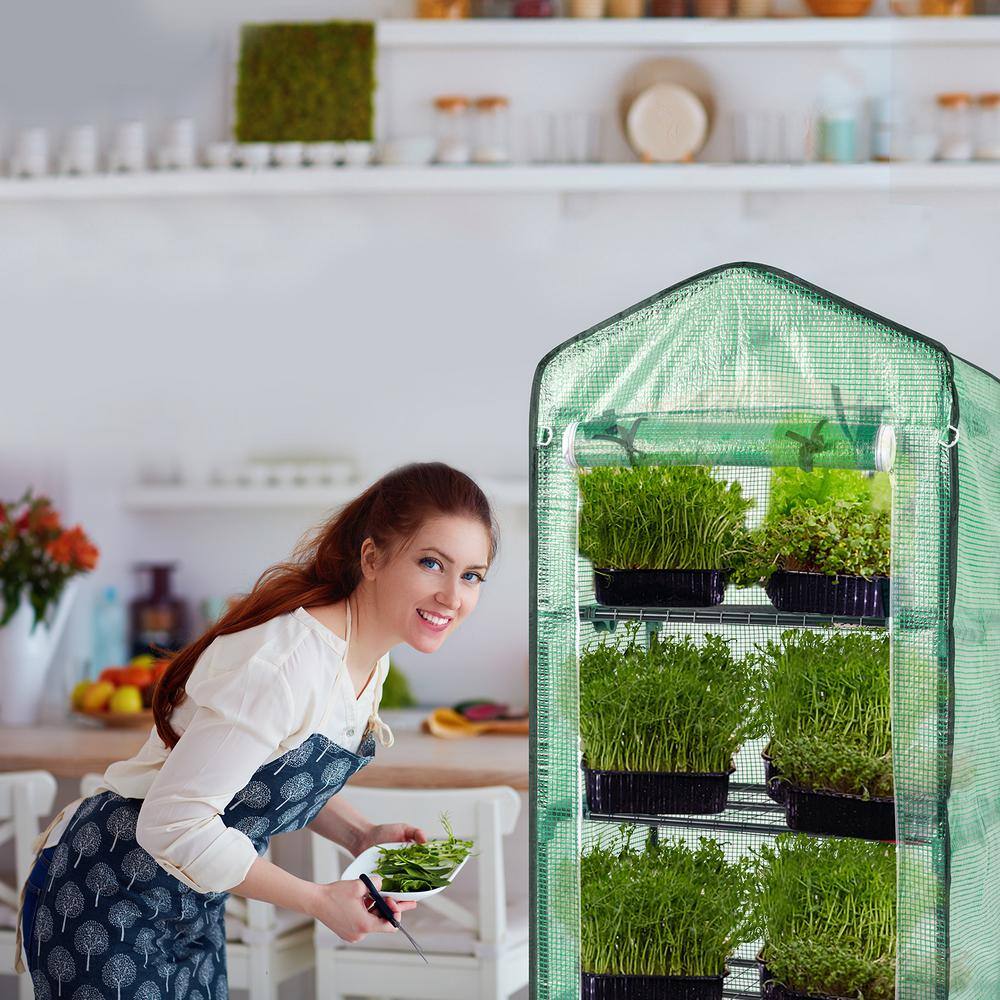 27 in. x 19 in. x 63 in. Greenhouse - Hercitys